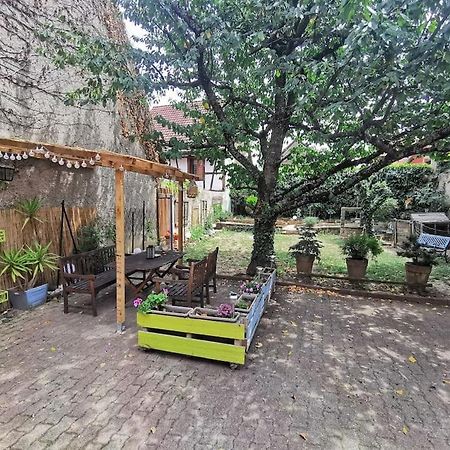 Gite Aux Sources D'Alsace Сулцмат Екстериор снимка